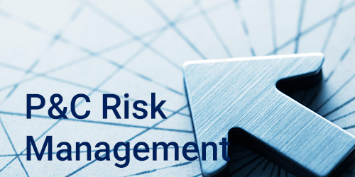 Picture of an arrow, h1 title: P&C Risk Management
